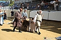 VBS_0840 - Palio di Asti 2024